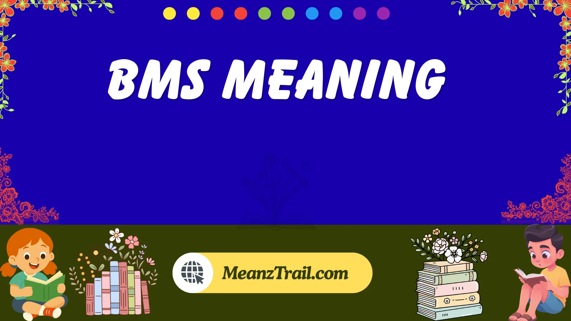 bms meaning