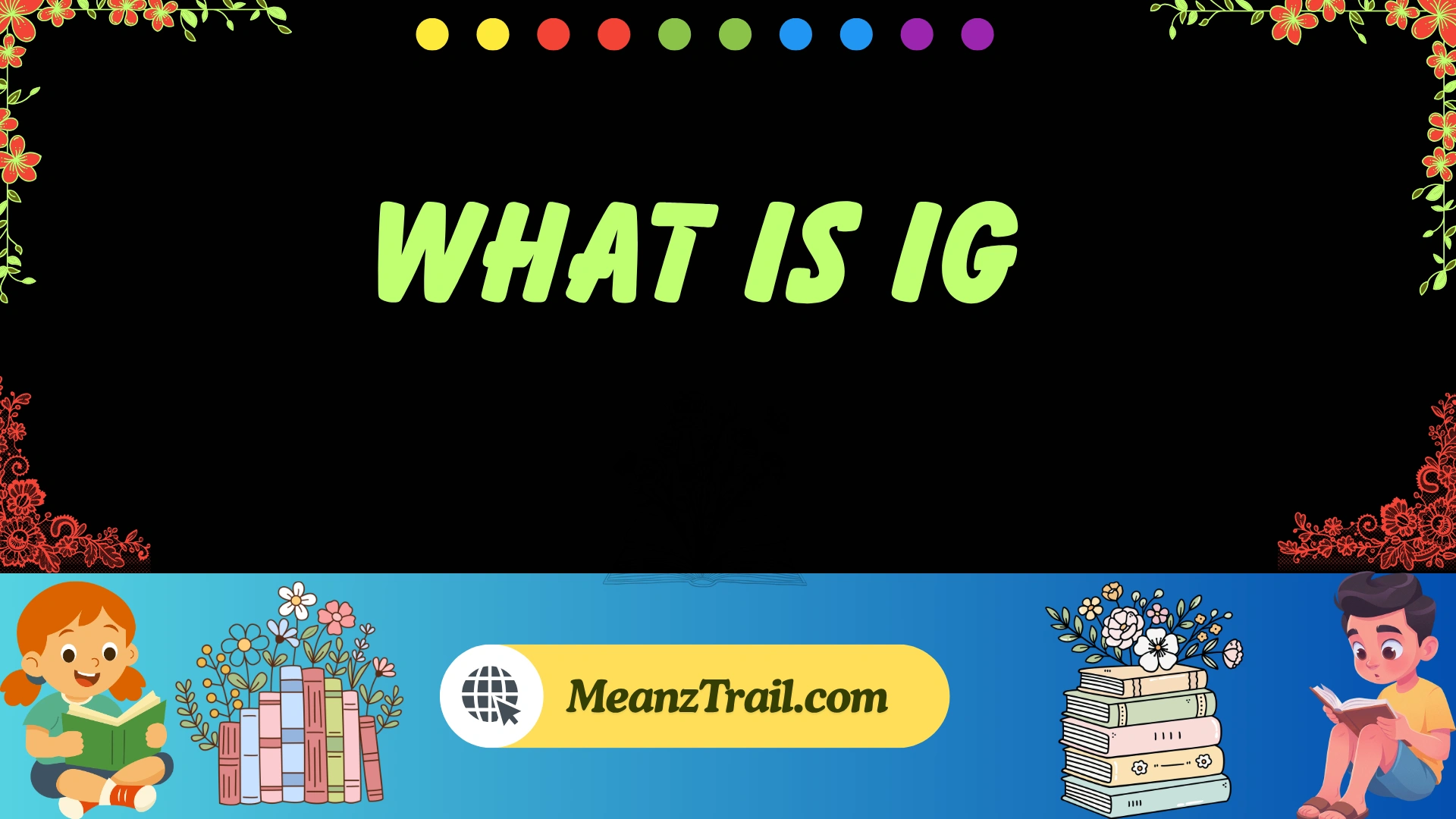 what is ig